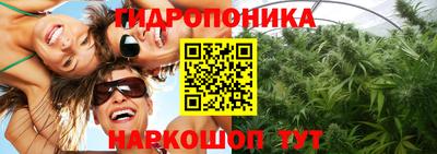 spice Лесосибирск