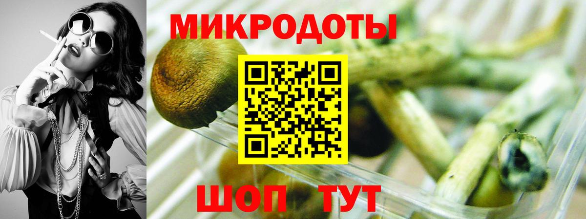 Шадринск  Псилоцибиновые грибы GOLDEN TEACHER  Псилоцибиновые грибы Cubensis  Вход с VPN 